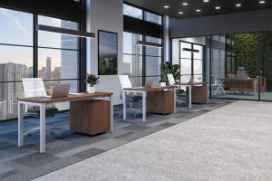 Escritorio operativo