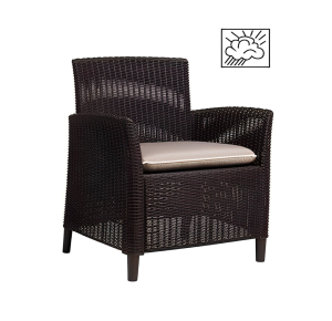 Sillón en Rattán de Visita