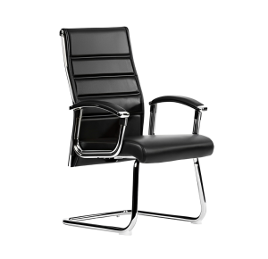 Silla Directiva de Visita