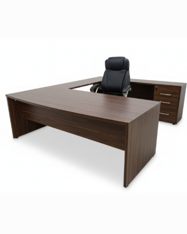 25 Modelos directivos DIR-001