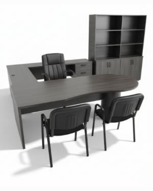 Modelo Directivo DIR-004