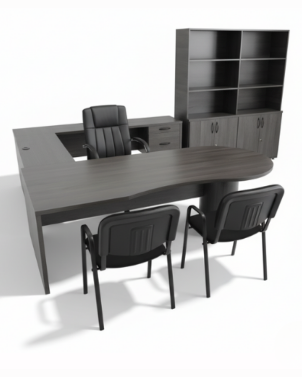 Modelo Directivo DIR-004