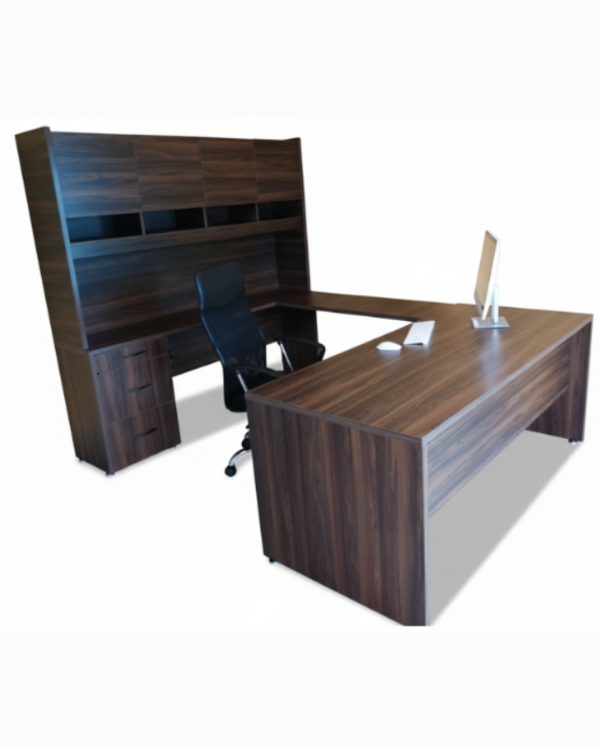 Modelo Directivo DIR-005