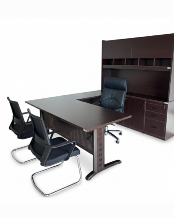 Modelo Directivo DIR-006