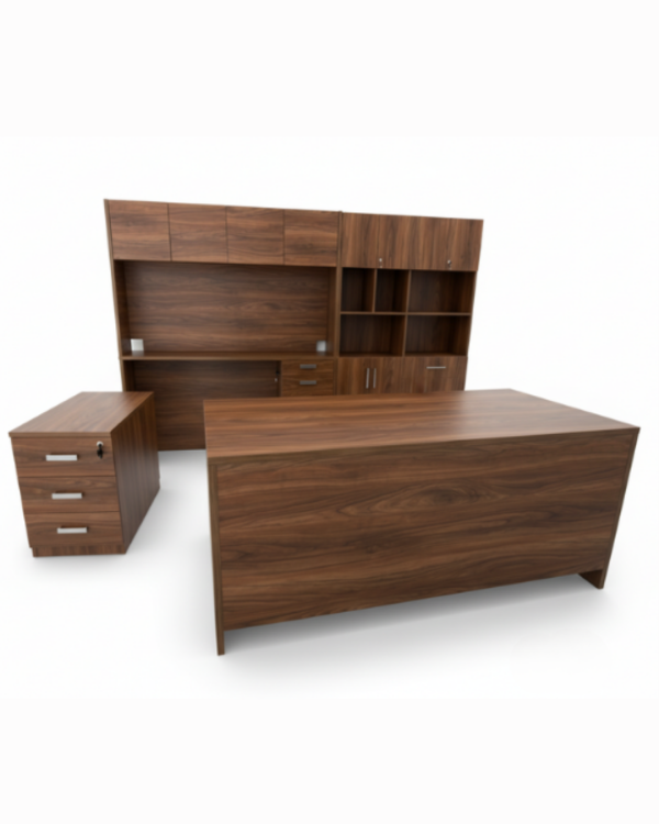 Modelo Directivo DIR-008