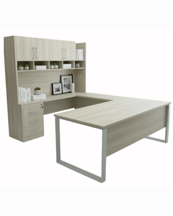 Modelo Directivo DIR-009