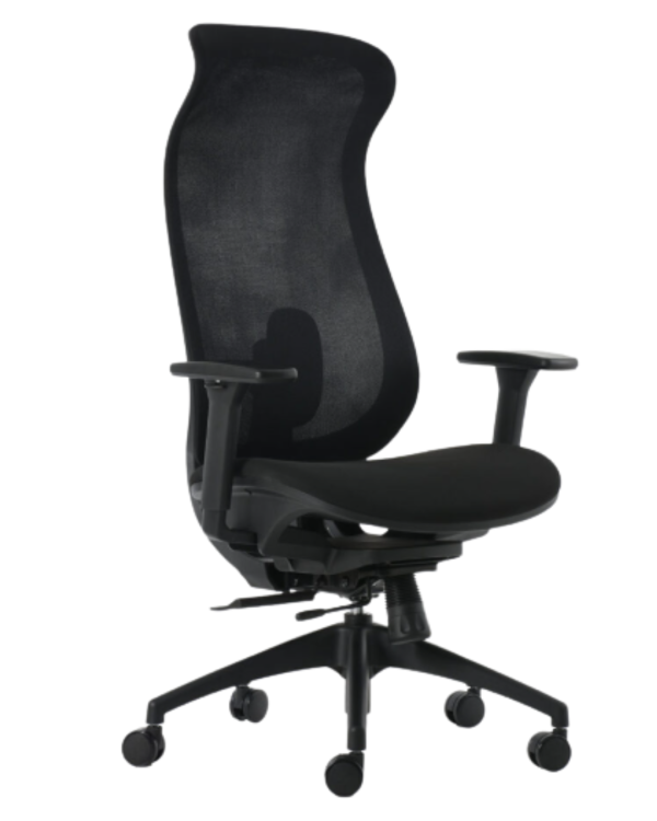 Silla Directiva BM 6000