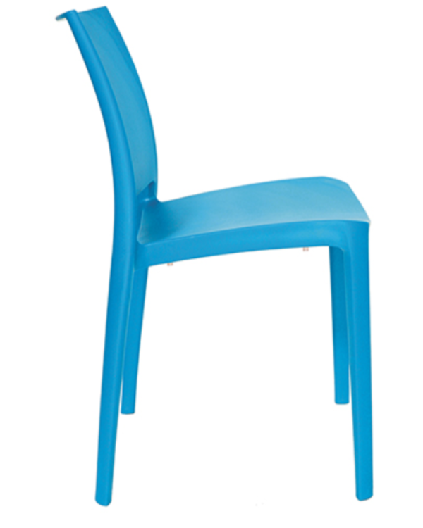 Silla exterior Sensilla